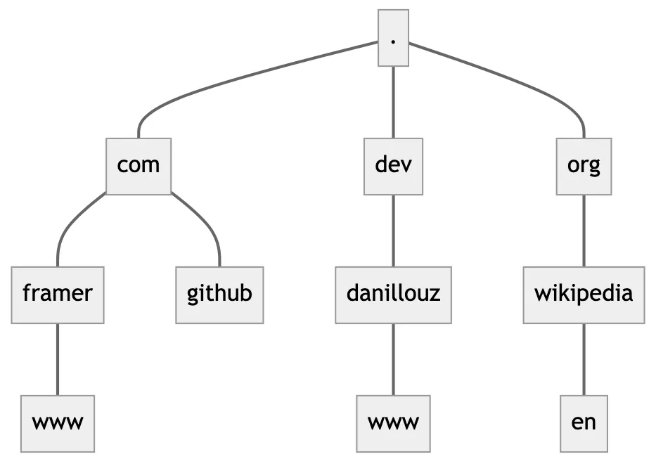 The labels of the domain names www.framer.com, github.com, www.danillouz.dev and en.wikipedia.org visualized in the domain name space.