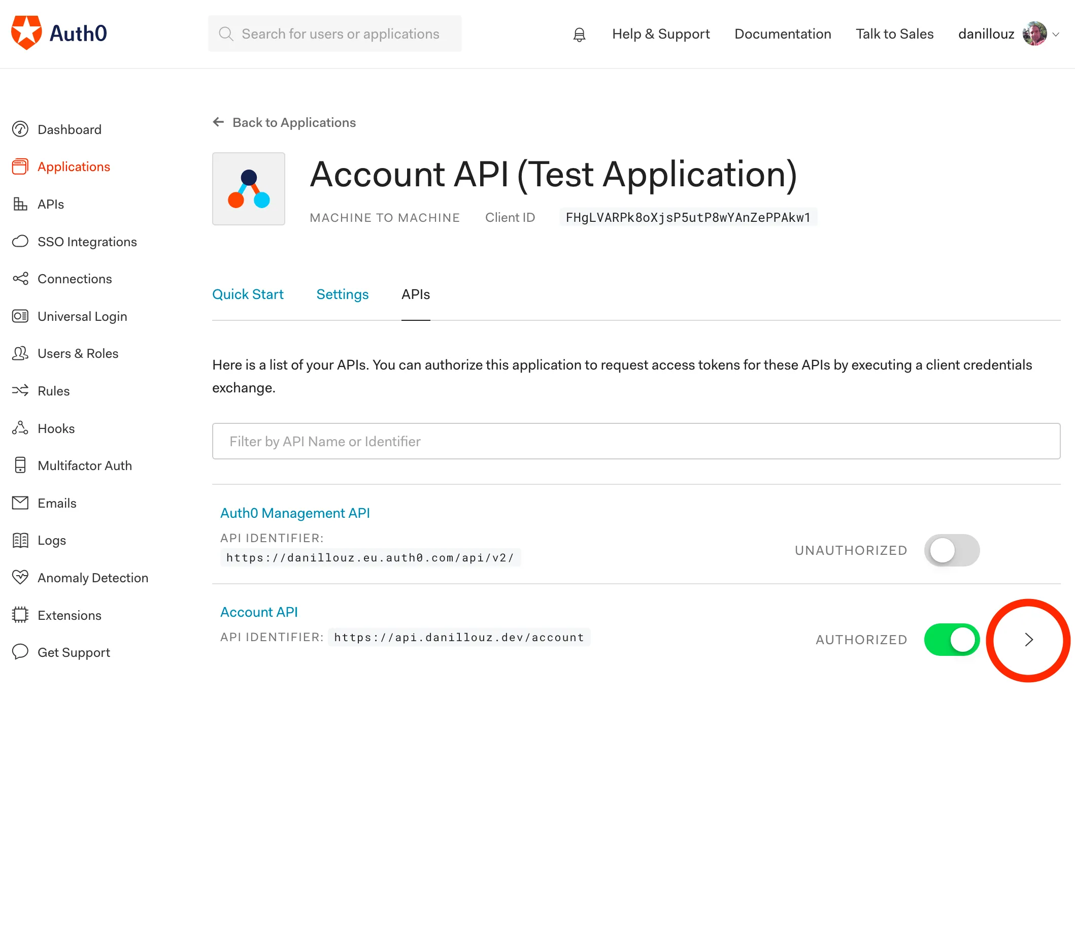 Image that shows the Auth0 test application authorization settings.